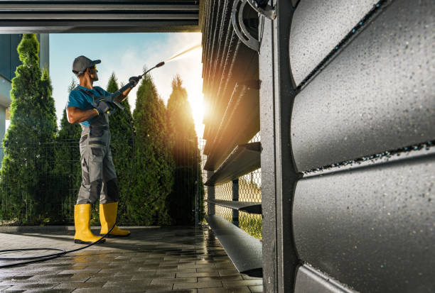 Best Soft Washing for Delicate Surfaces in South Padre Island, TX